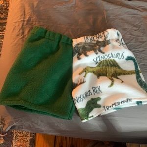 dinosaur pj pants 🦖